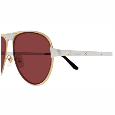 Santos de Cartier Sunglasses CT0533S 004 2 CARTIER 0533S 004 58 closeup