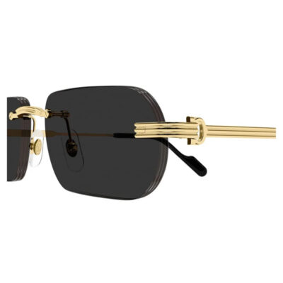 Premiere de Cartier Sunglasses - CT0577S 001 2 CARTIER 0577S 001 55 CloseUp