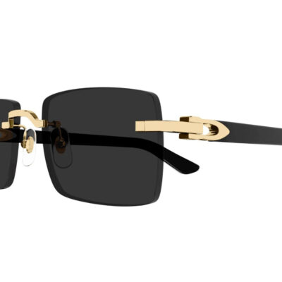 Sunglasses with Elongated C de Cartier motif - CT0579S 005 2 CARTIER 0579S 005 57 closeup