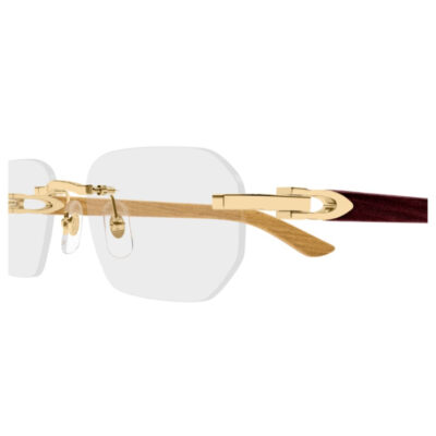 CARTIER 0583O 002 55 CloseUp