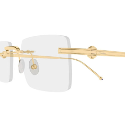 CARTIER 0619O 001 52 closeup