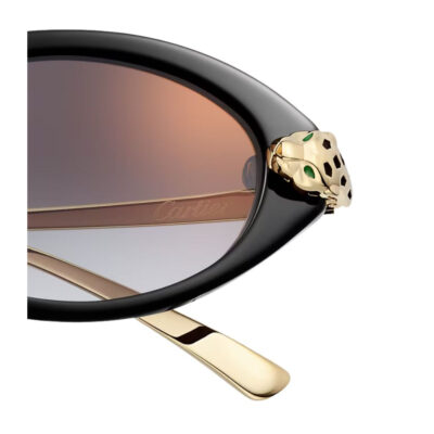 Cartier CT0634S Oval Sunglasses 3 CARTIER 0634S 001 52 closeup2