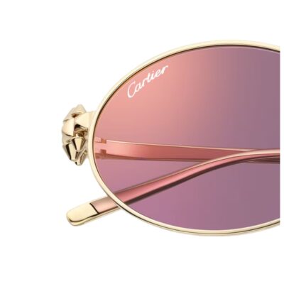 Cartier CT0644S Oval Sunglasses 4 CARTIER 0644S 002 52 closeup4
