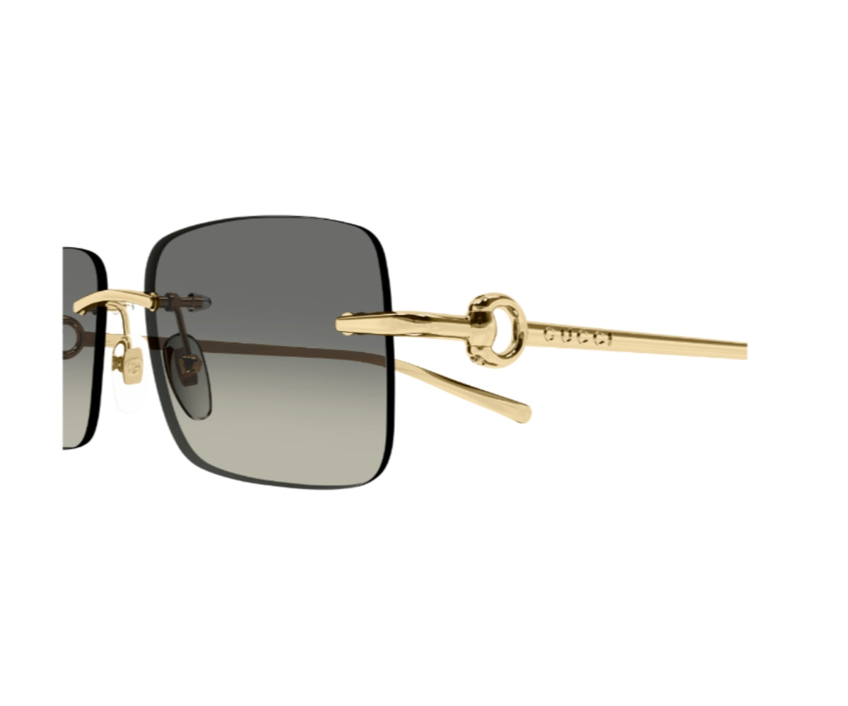 GUCCI_1703S_005_55_closeup.jpg GUCCI 1703S 005 55 closeup
